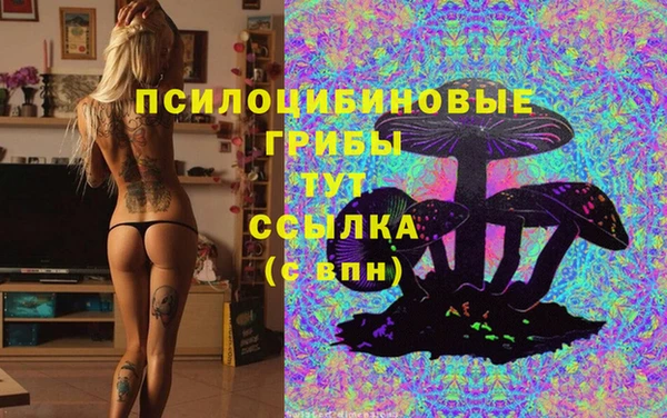 марки lsd Бородино