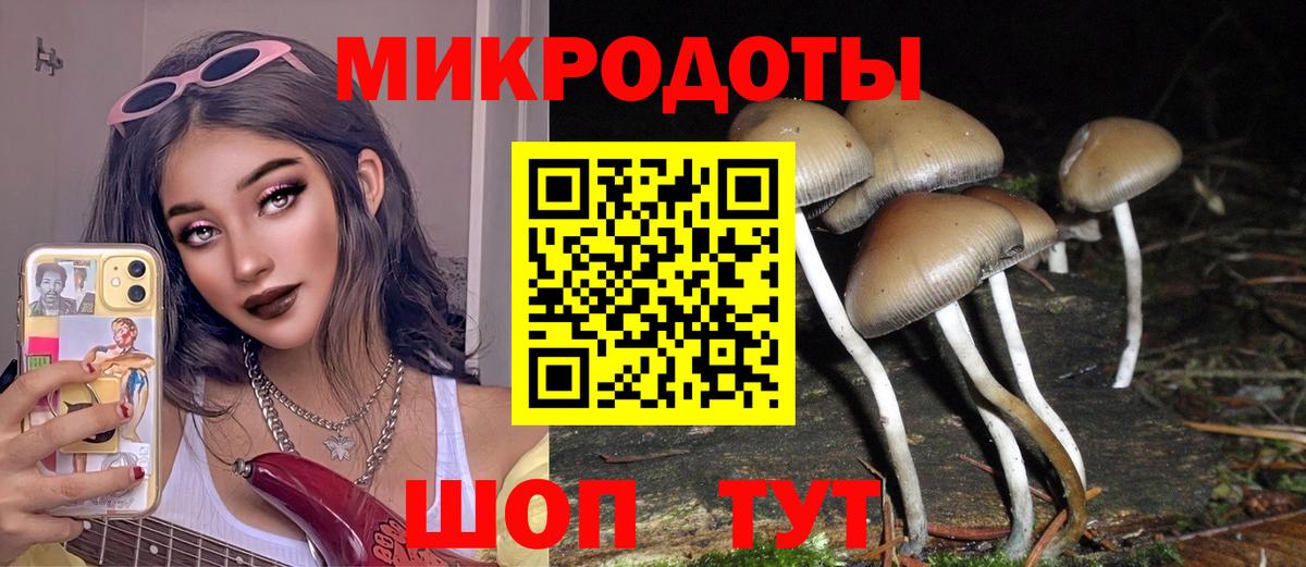 Псилоцибиновые грибы Magic Shrooms Горячий Ключ